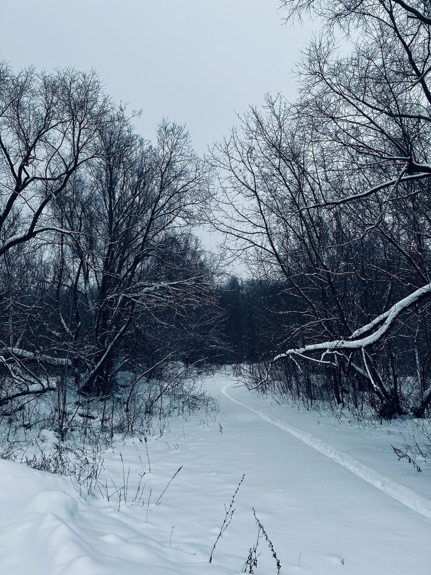 Тропа домой
