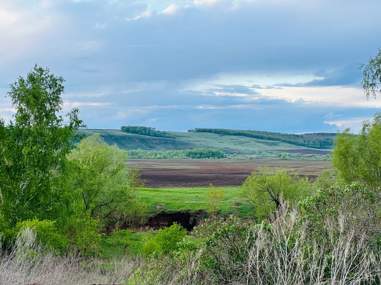 Природа родного края