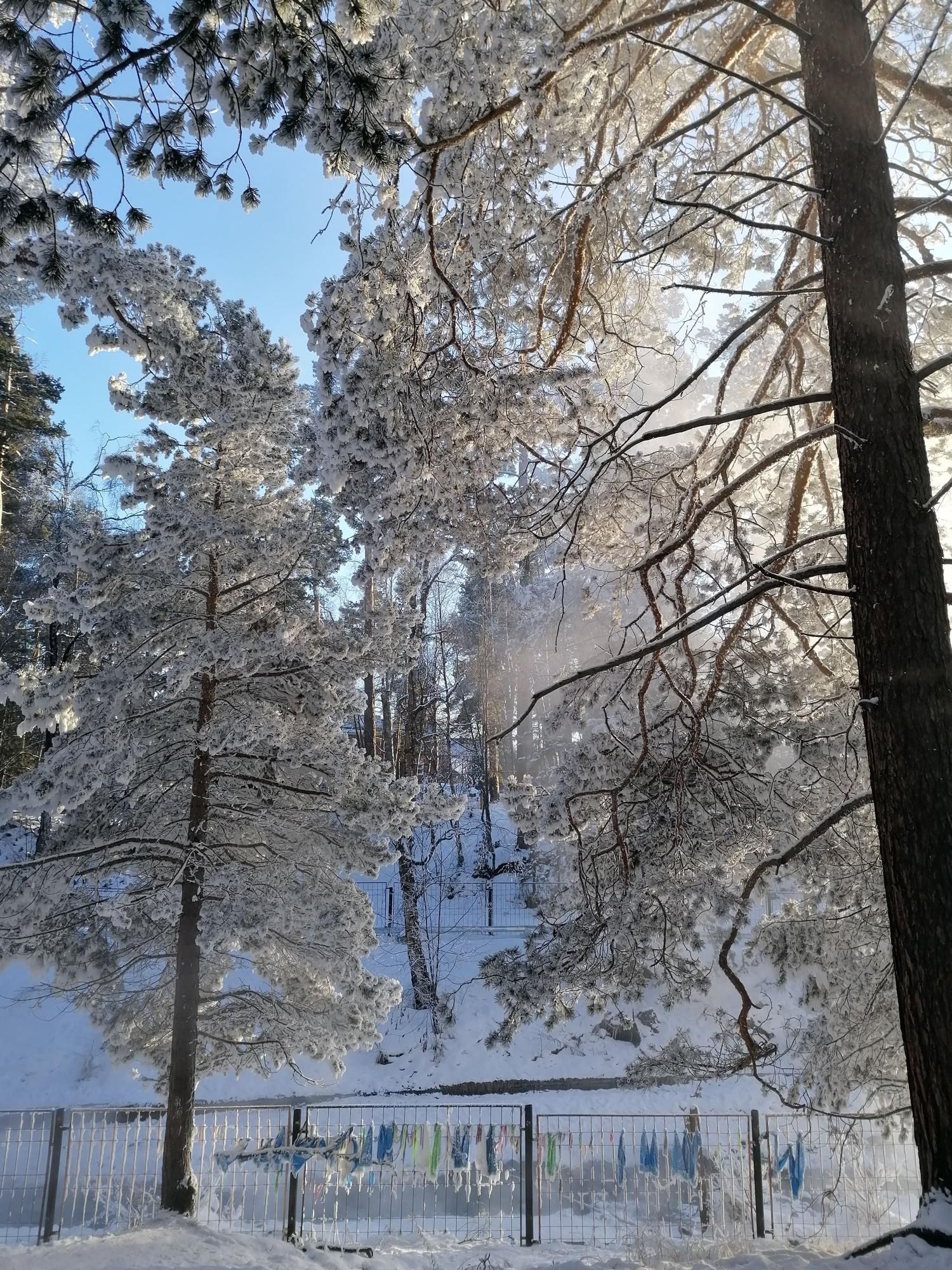 Морозное утро
