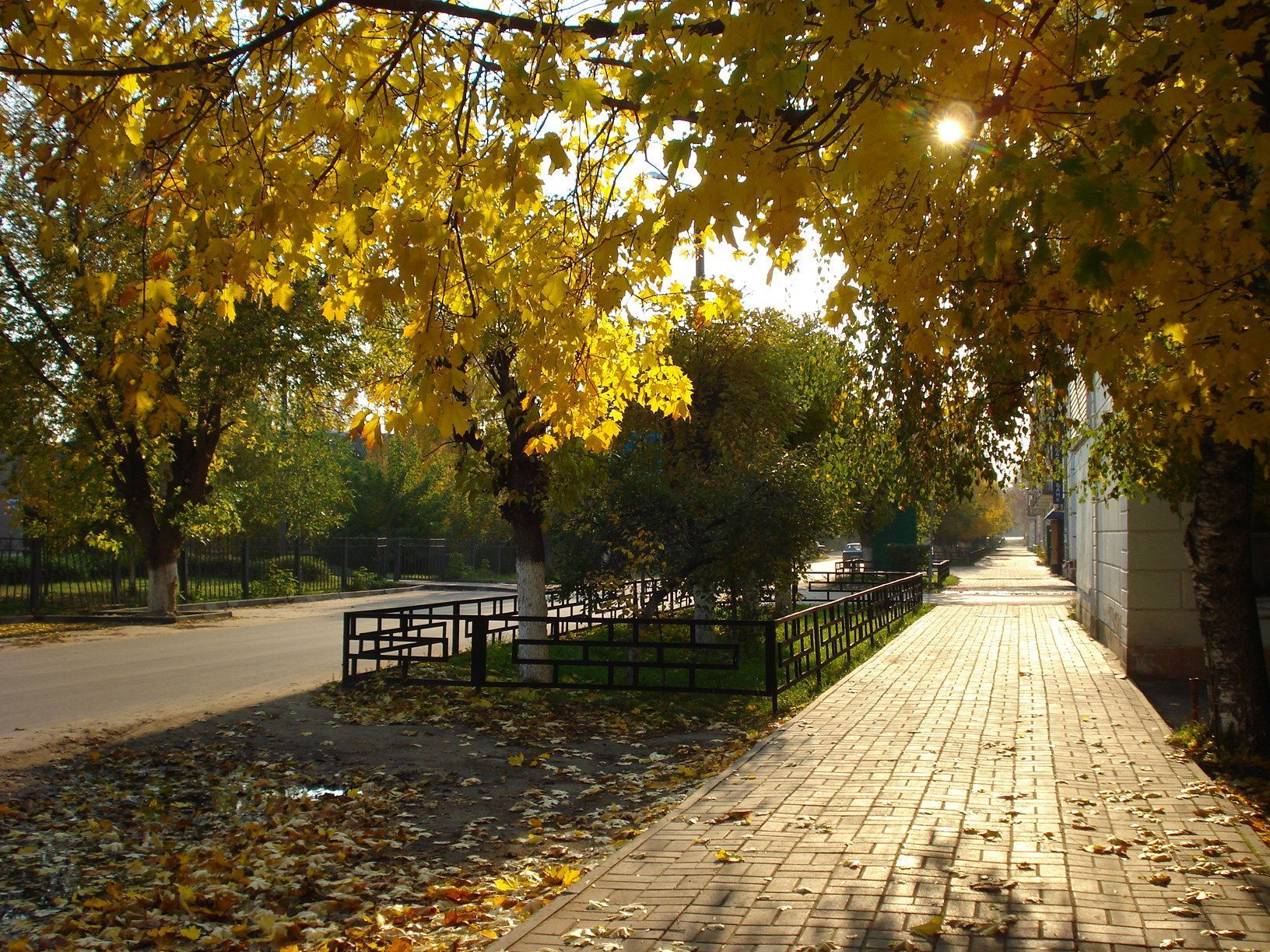 Яркая осень в моём городе