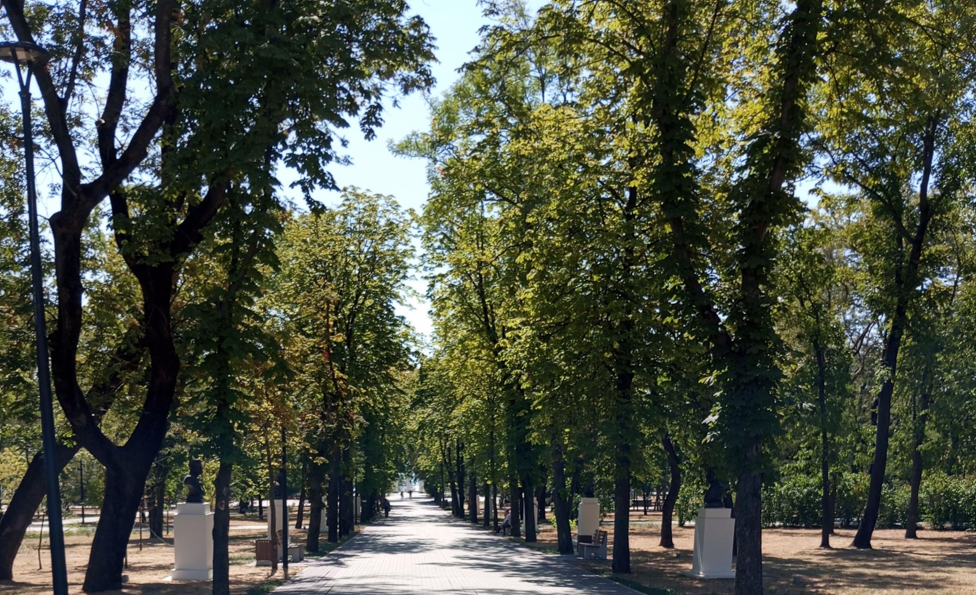 Ландшафт городского парка