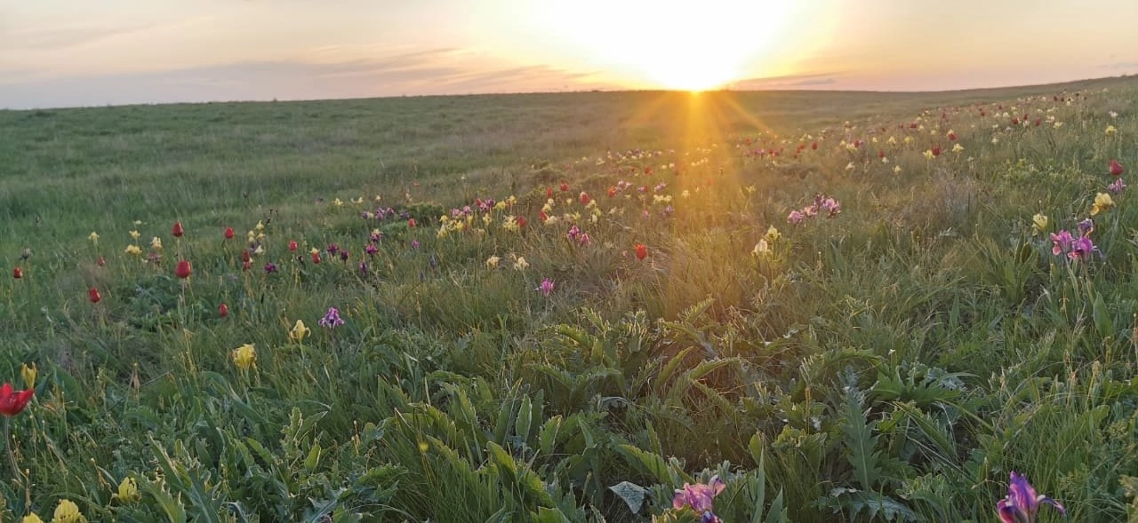 Мой родной край. 