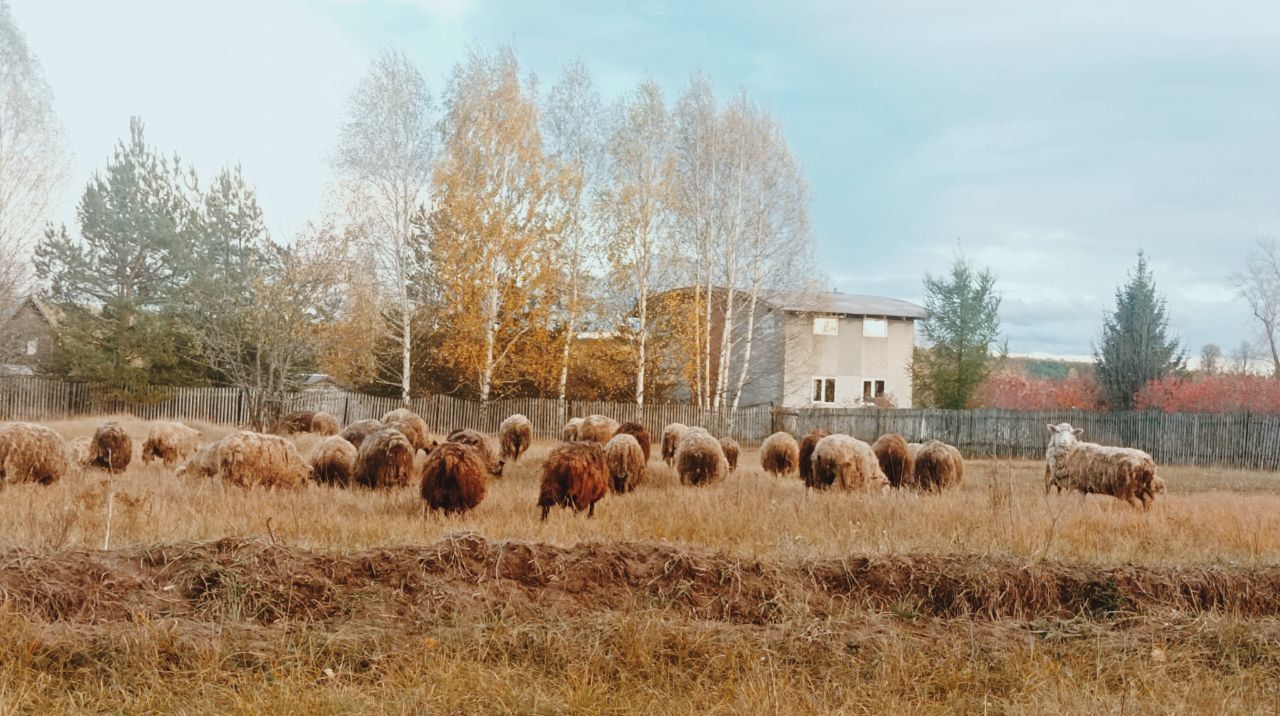 У бабушки в деревне