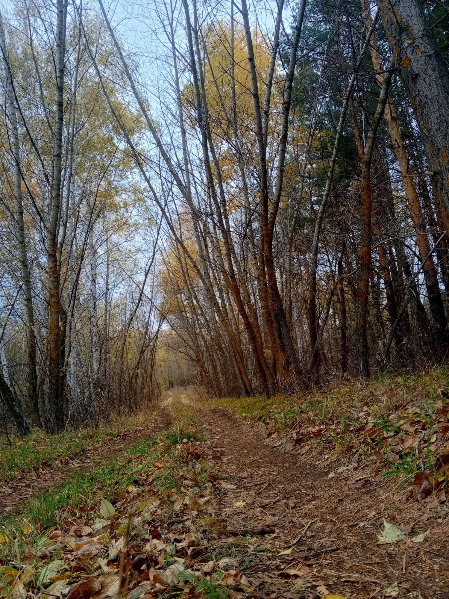 "Золотая тропа осени"