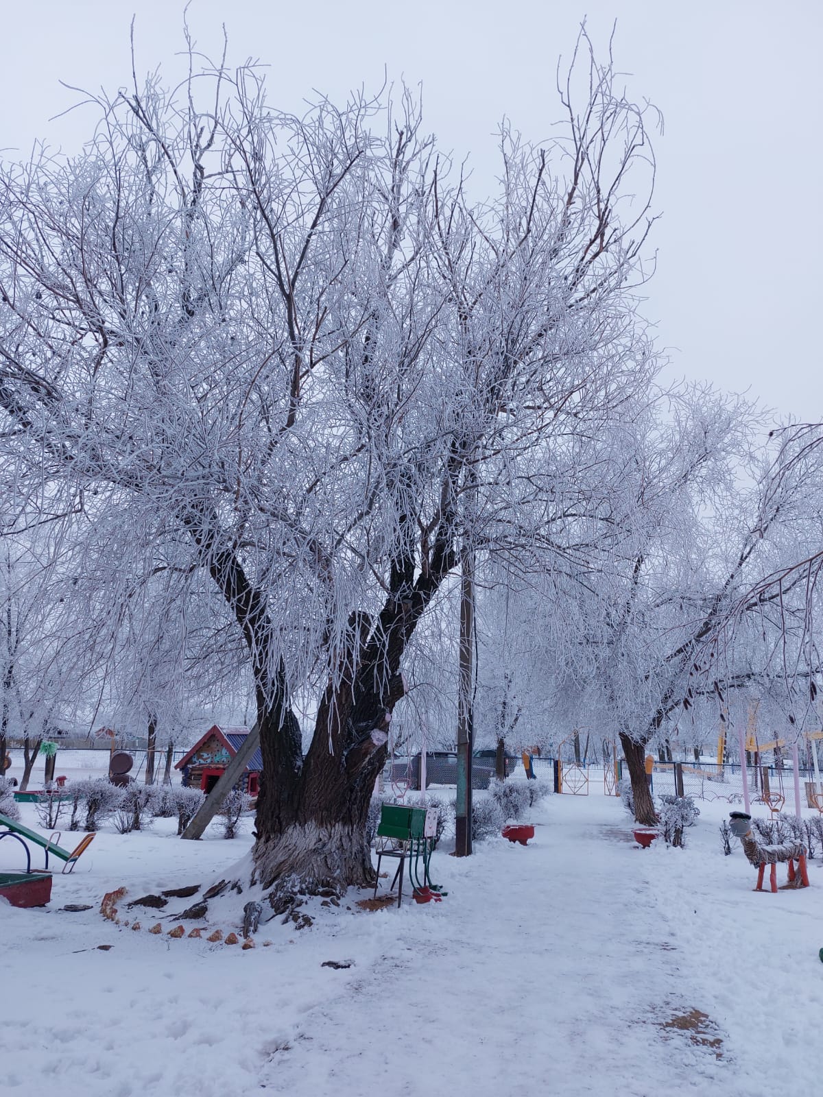 Первый снег