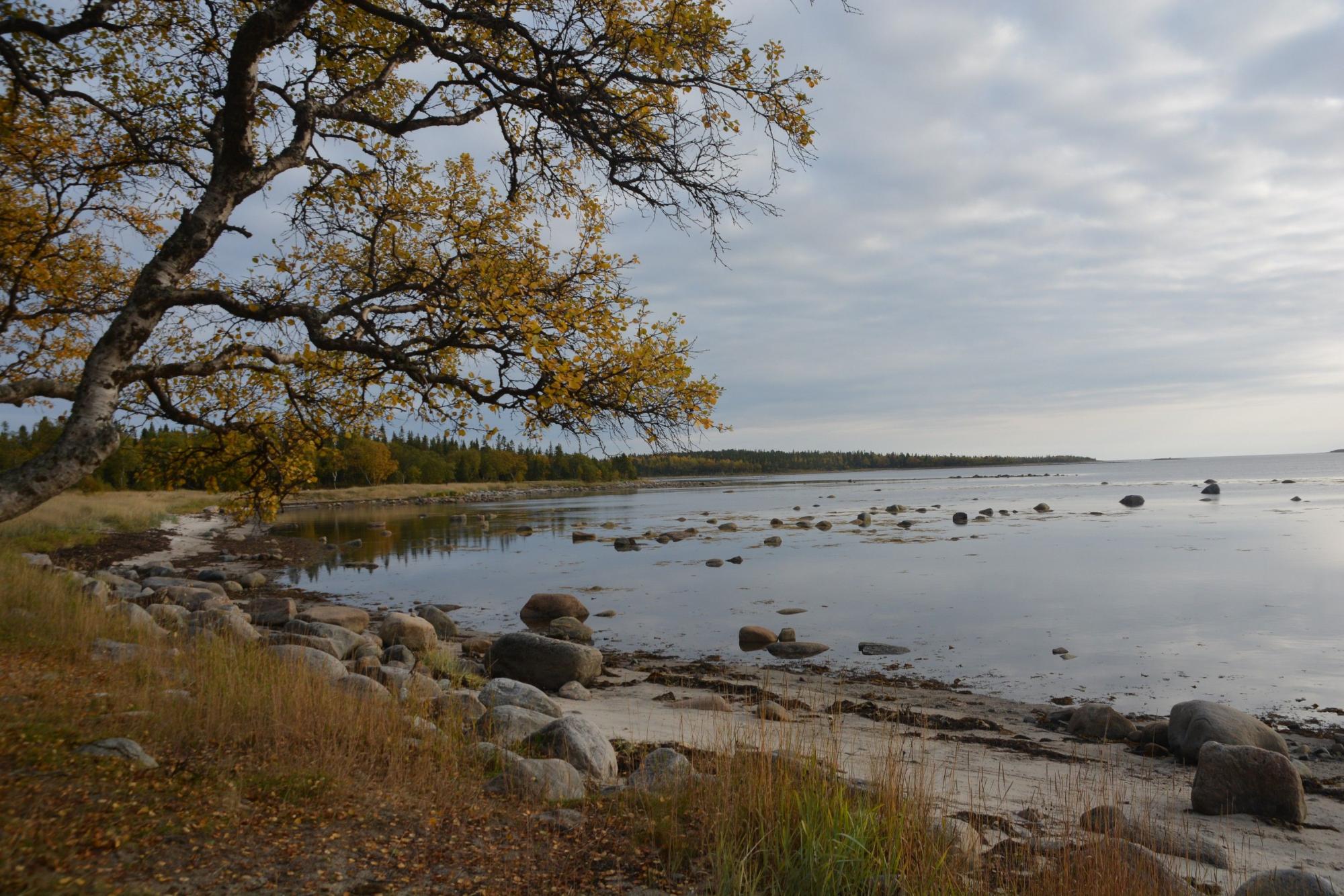 Осень и море