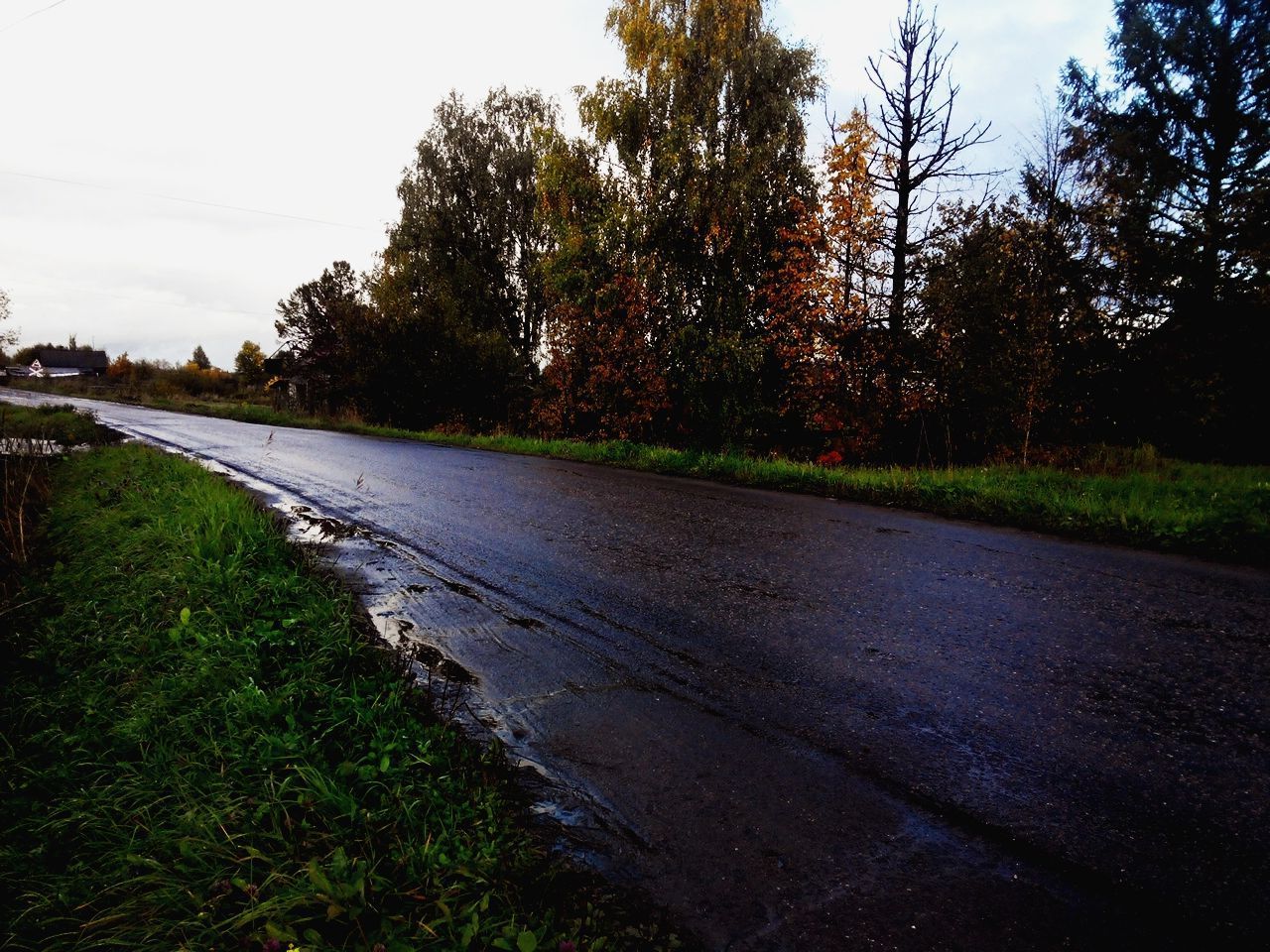 Дорога после дождя 