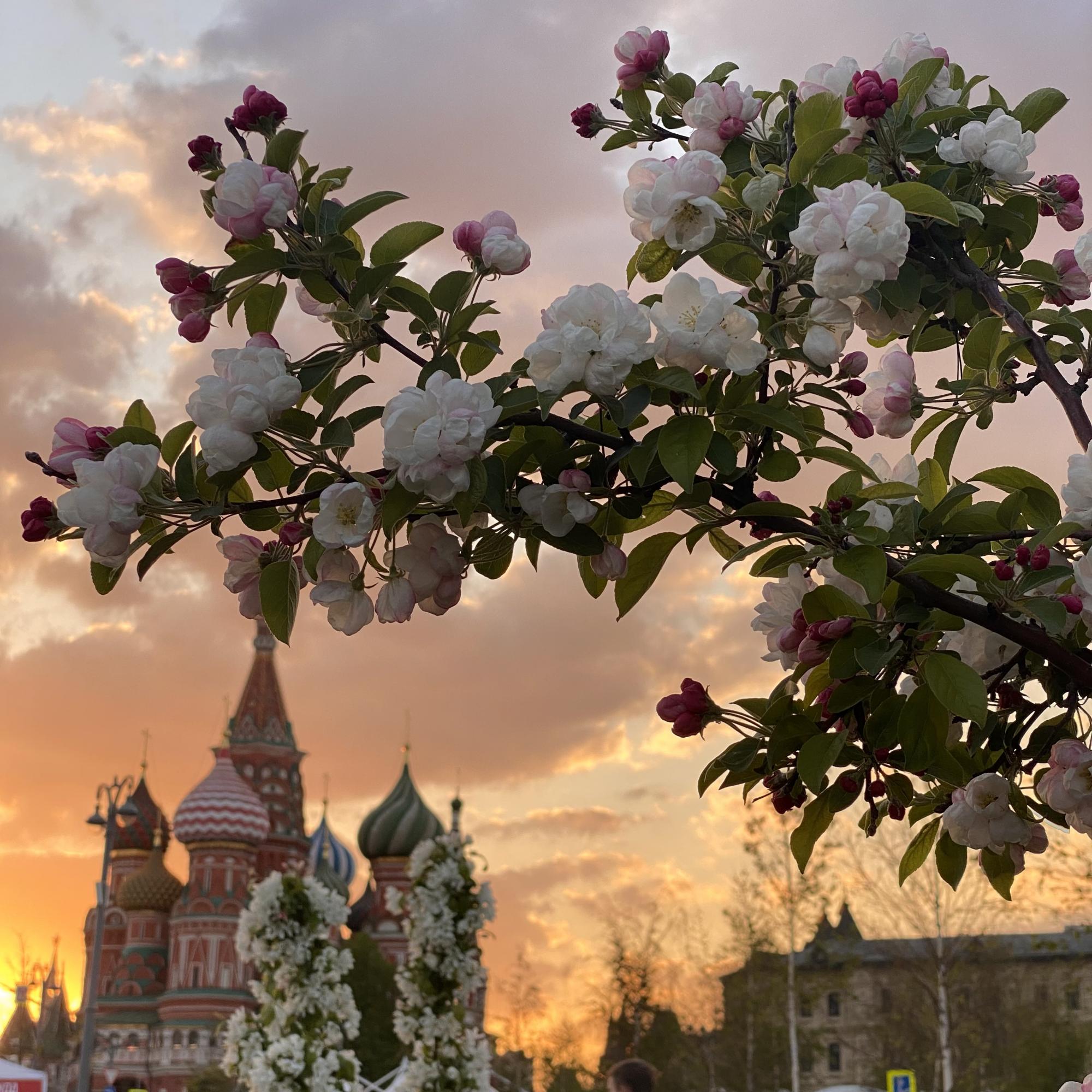 Весенняя Москва 