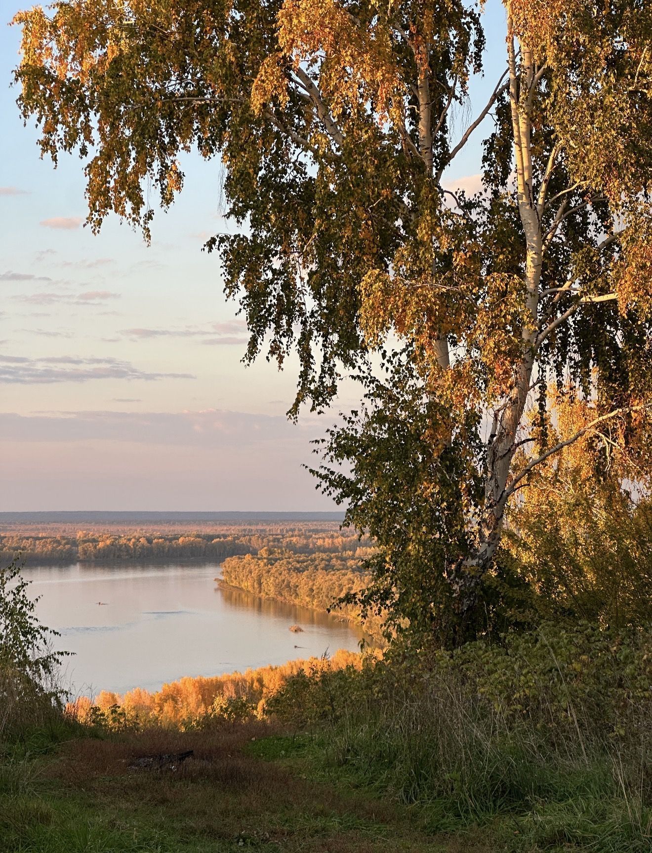 Осенние краски 