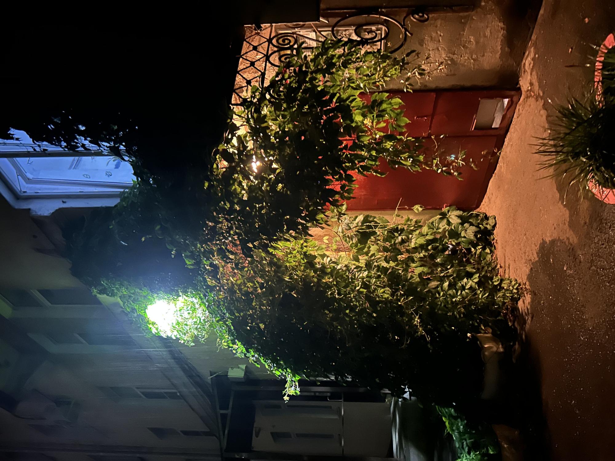 Шепот листьев у порога