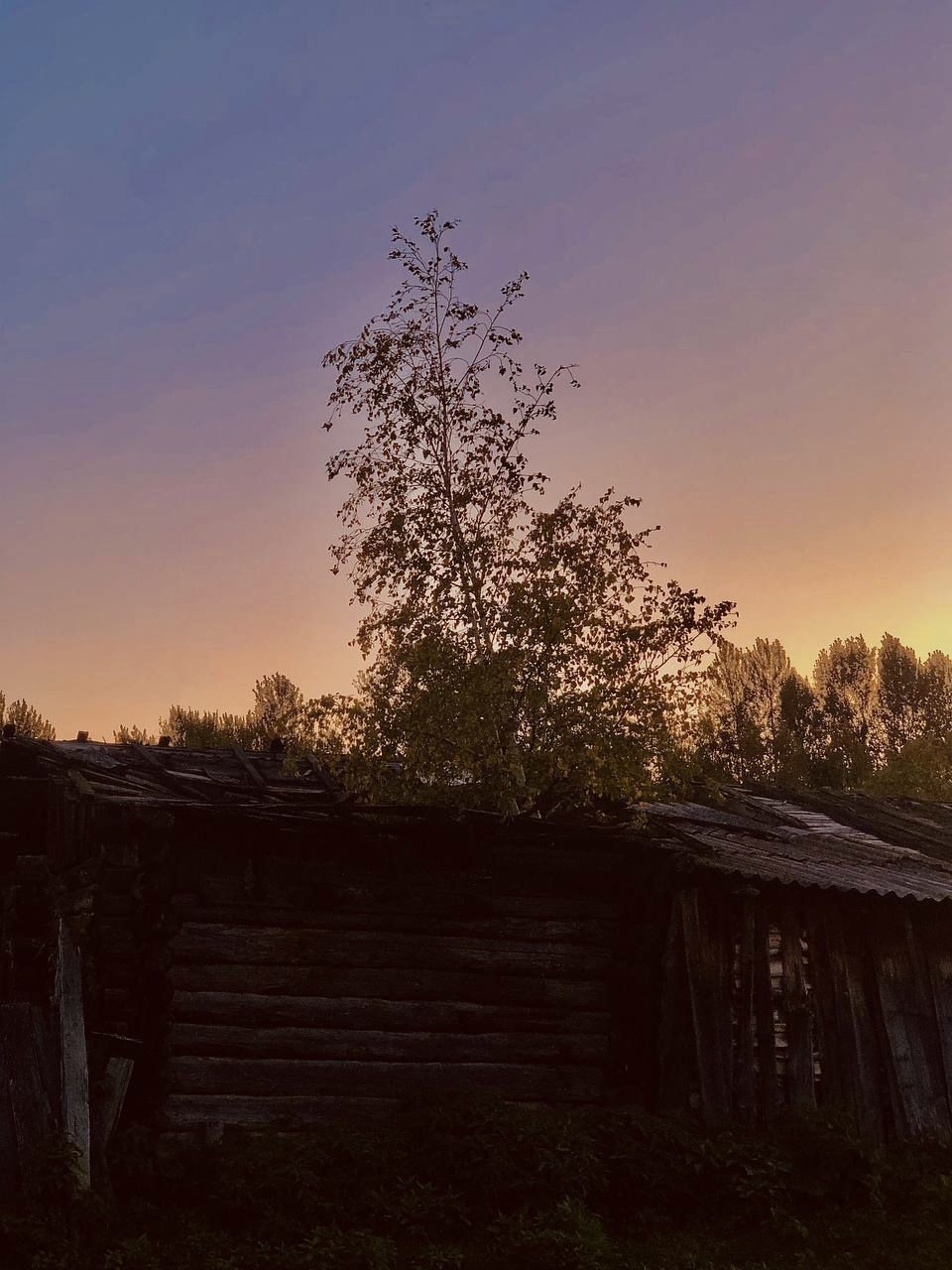 Красота в глазах смотрящего)