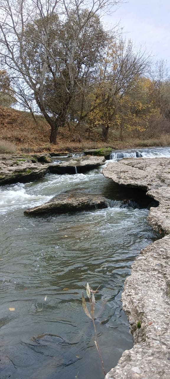 Золотая осень на реке