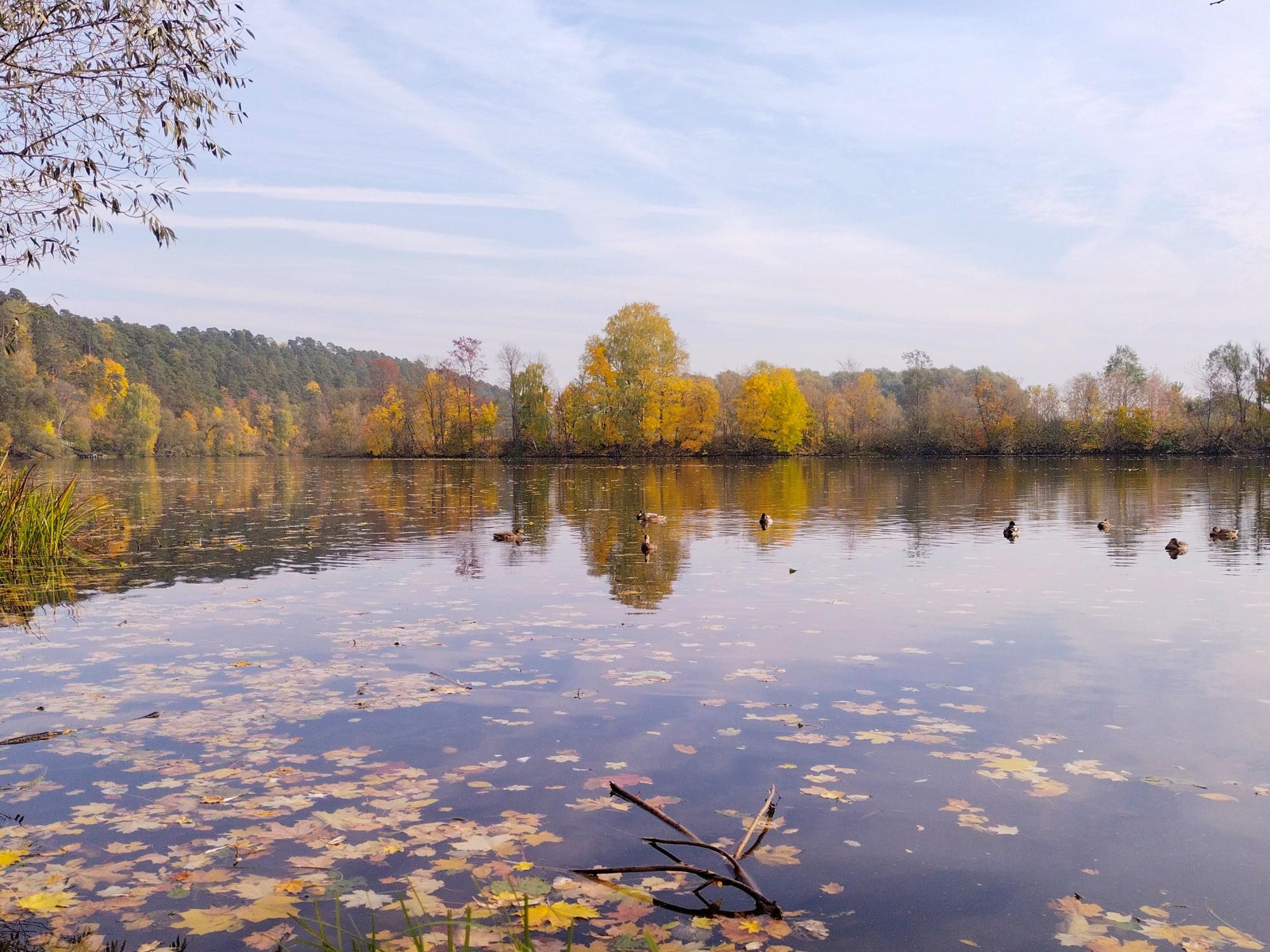 Усадьба Архангельское