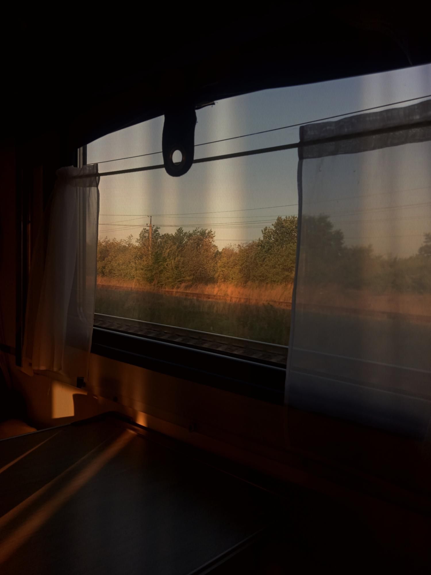 Вид из окна поезда