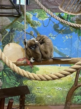 "Мы с Тамарой спим на пару"