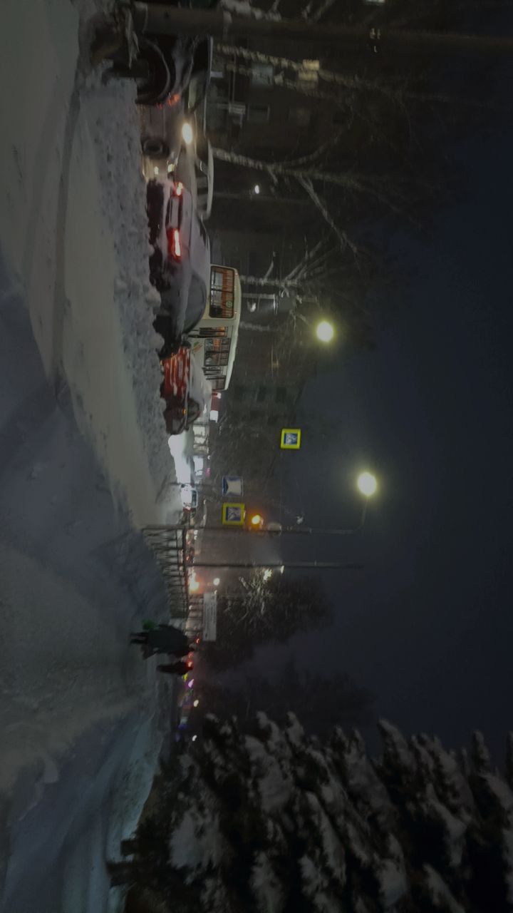 Зима .Крестьяне торжествуют 