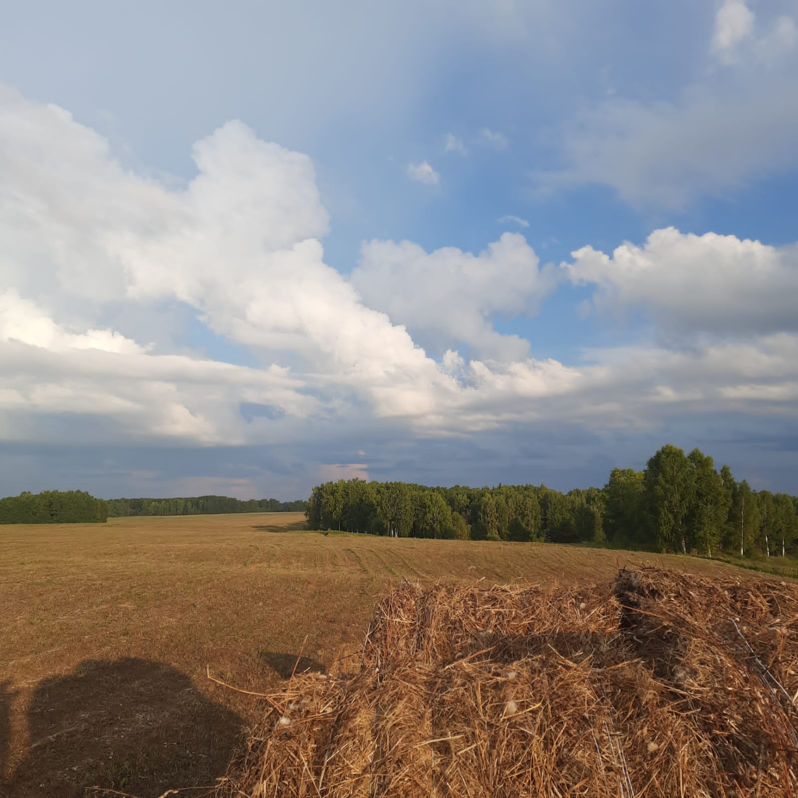 Шарыповский район — уникальная территория