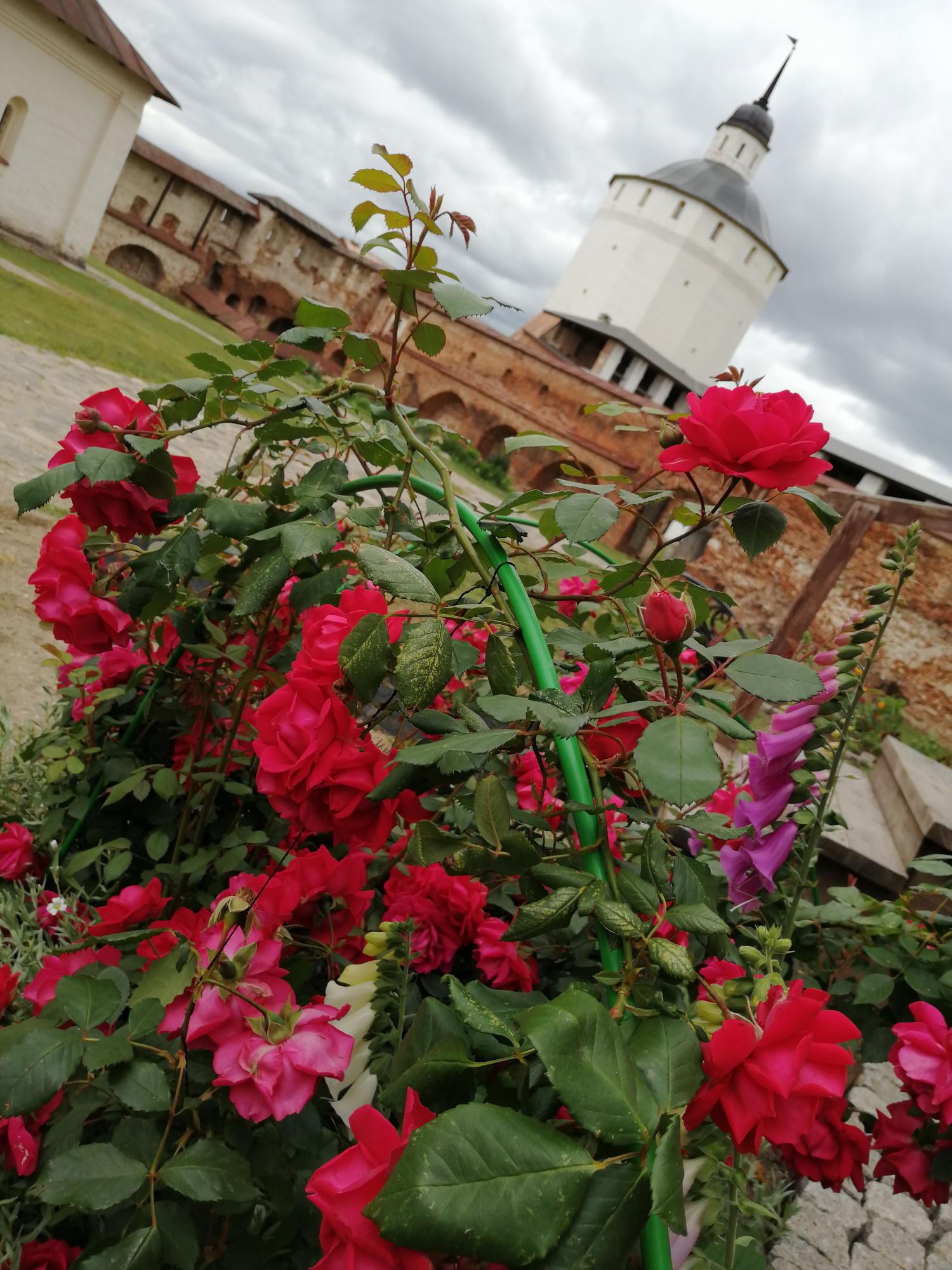 Цветы монастыря