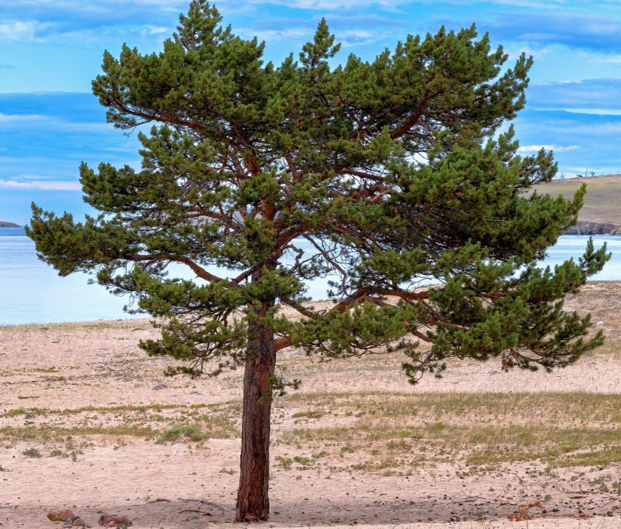 Ольхон, Сарайский пляж