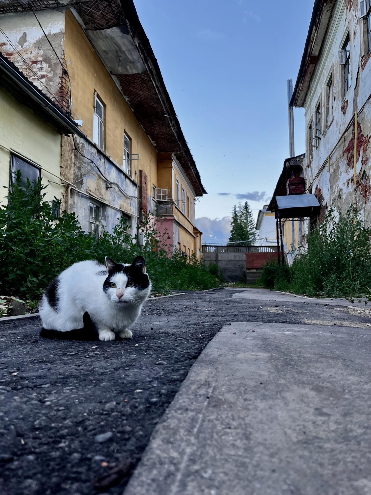 Во дворах Елабуги