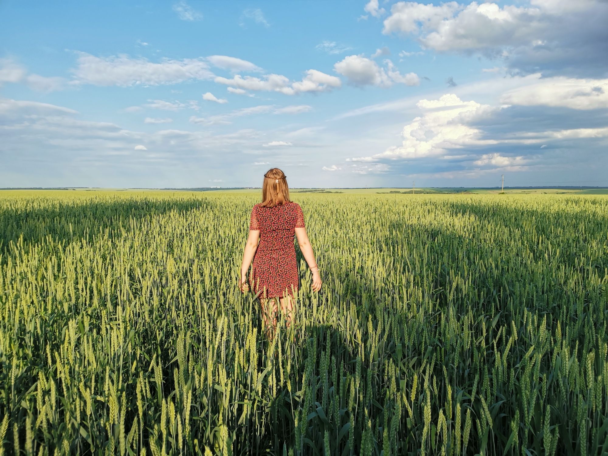 Безграничные курские просторы
