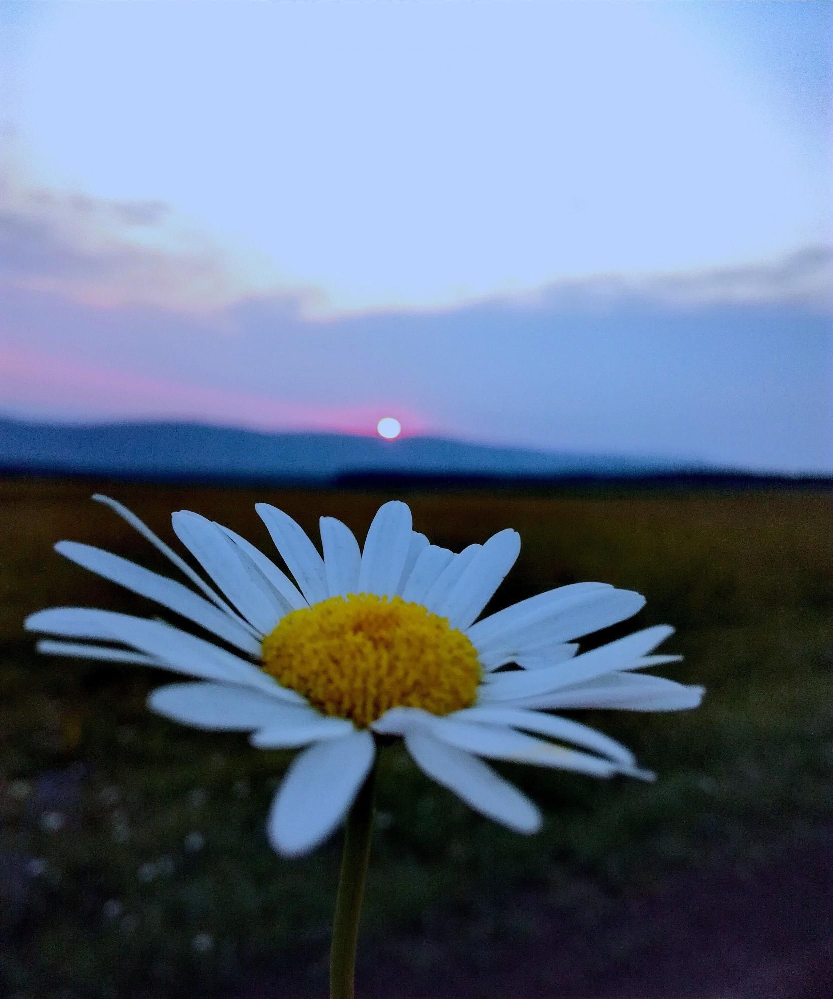 Скоро рассвет 