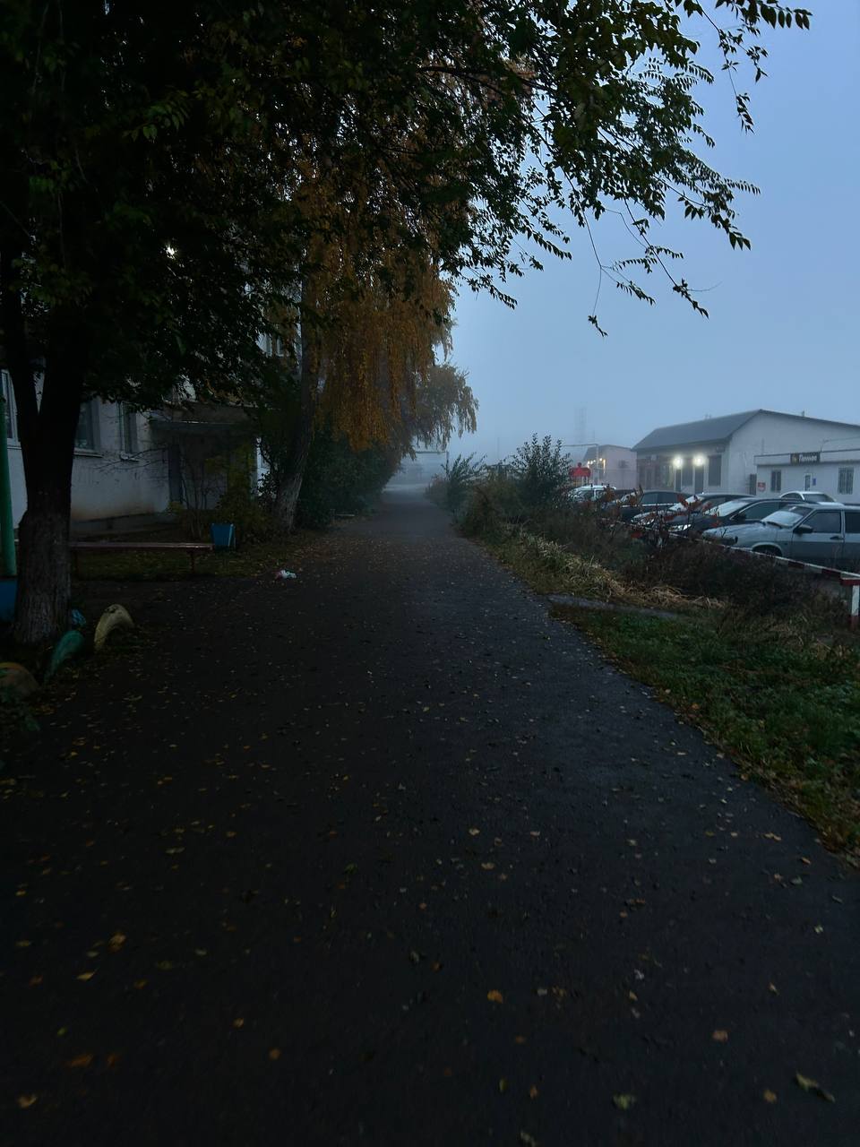 Осенние утро 