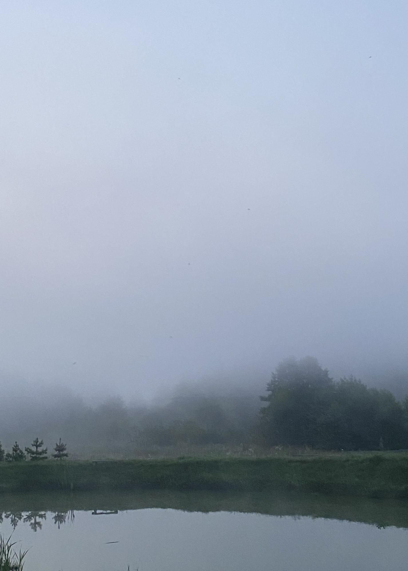 Утро в тумане 