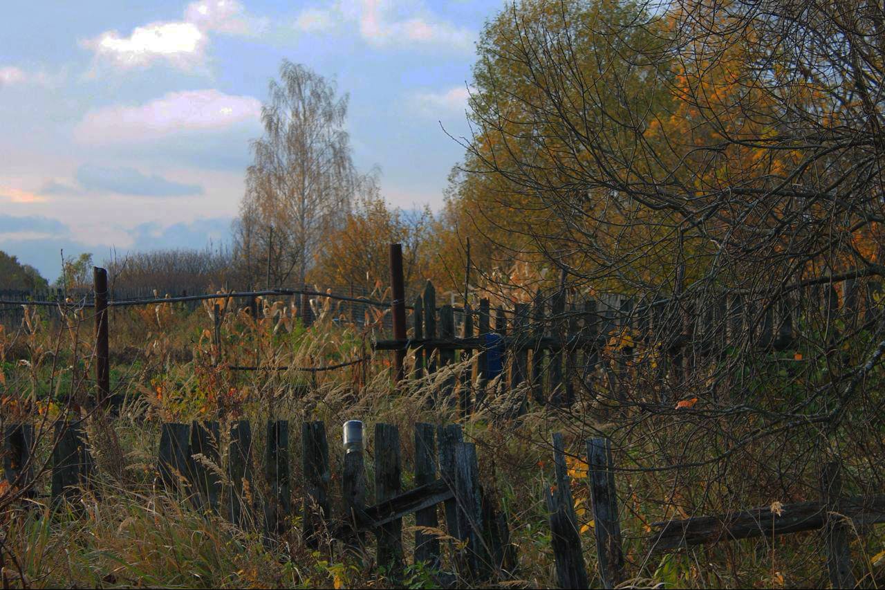 Ни кола ни двора 