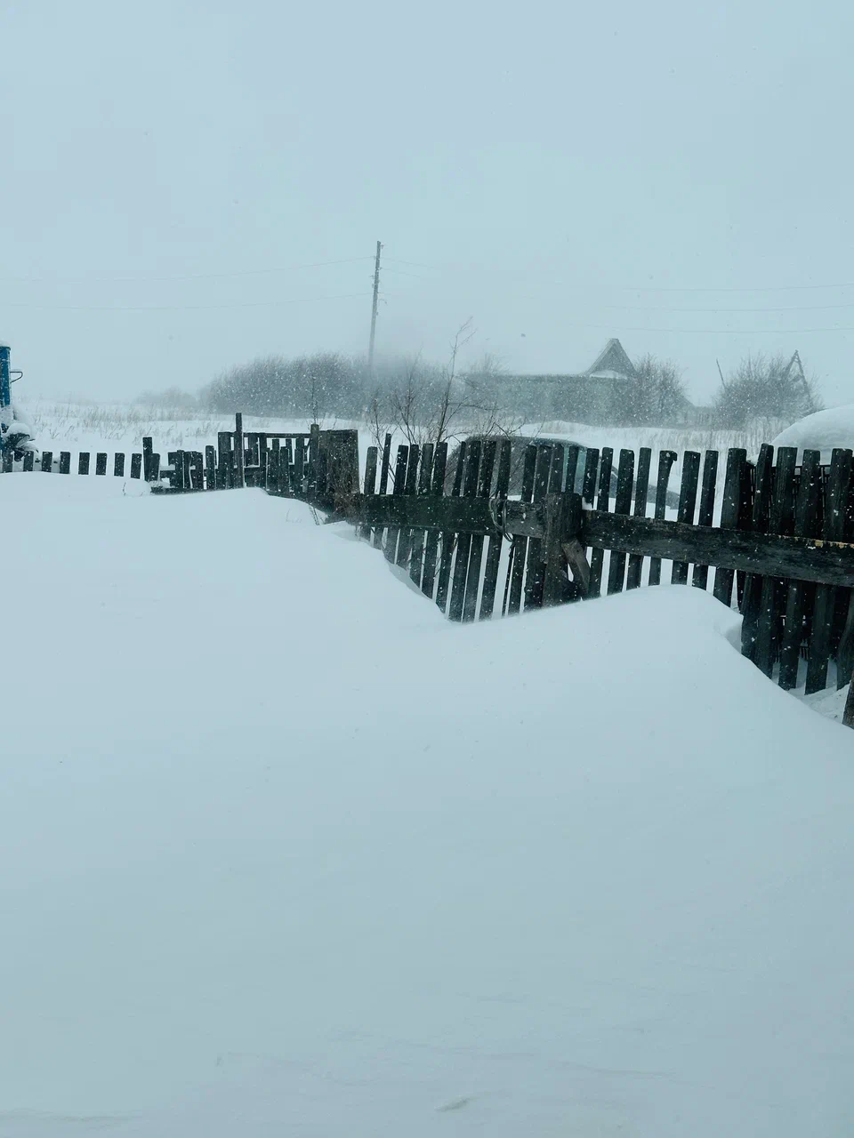 Метель
