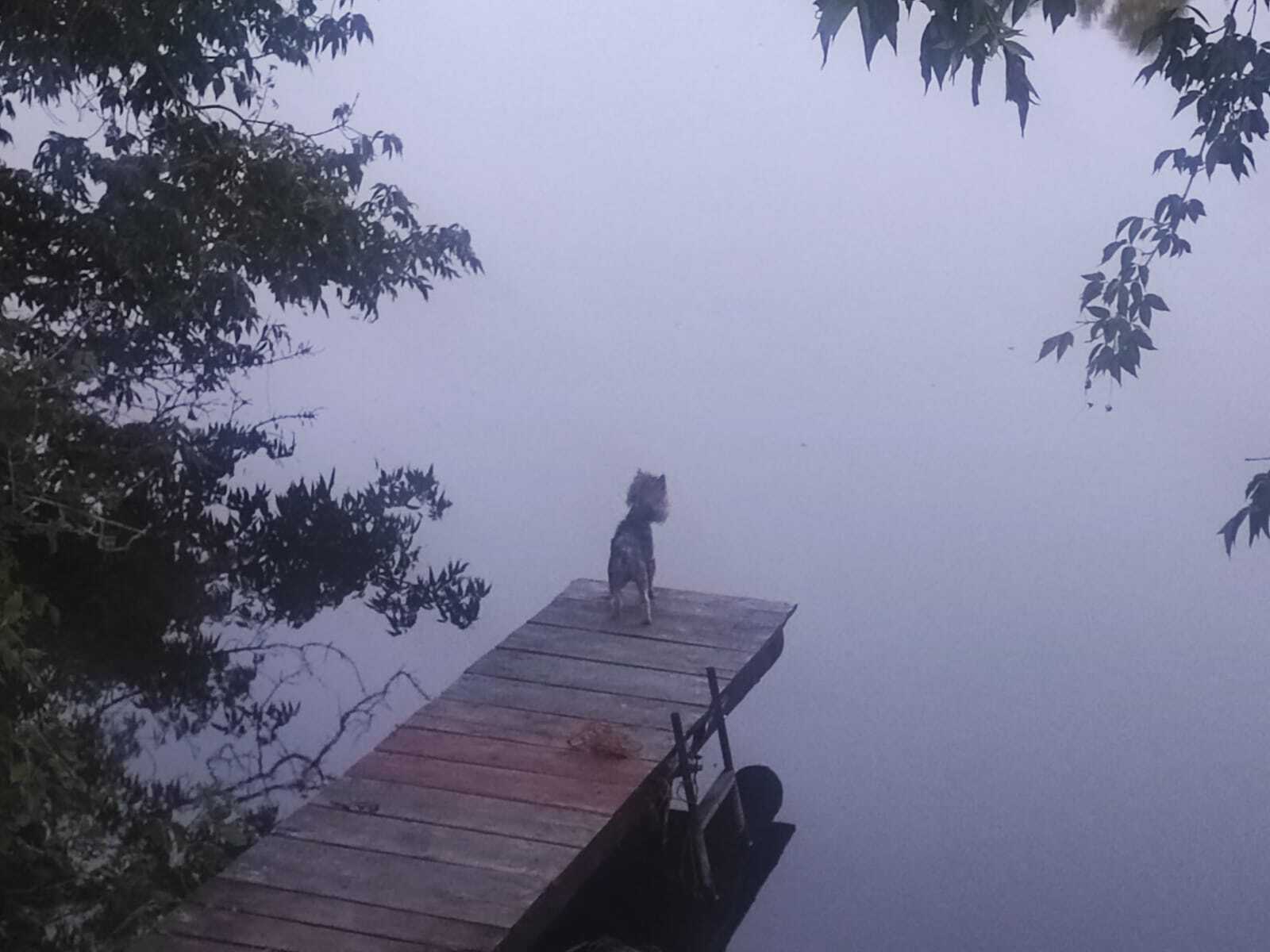 Жорик и бездонный пруд