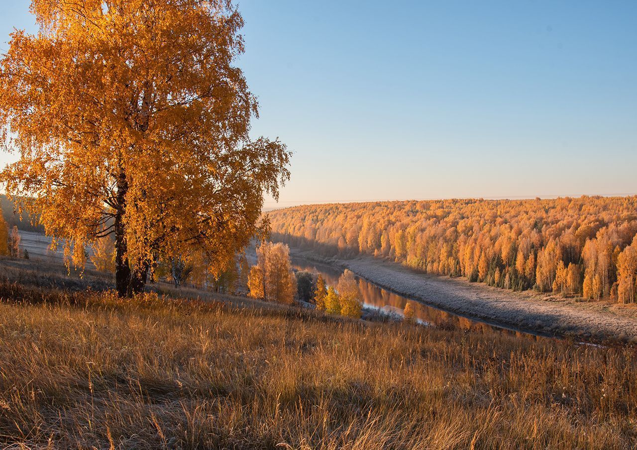 Осень на золотых берегах