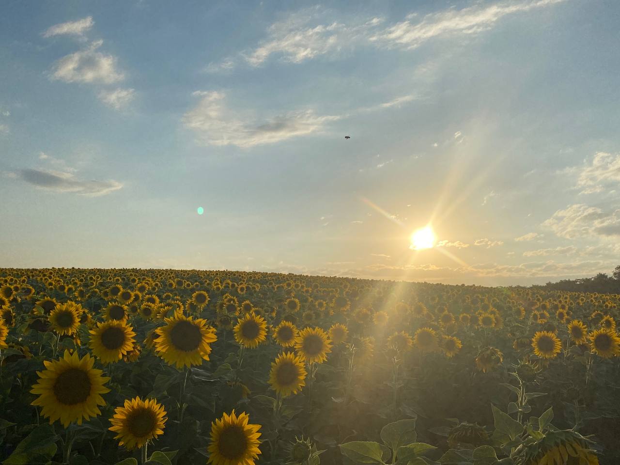 мелочь в жизни 