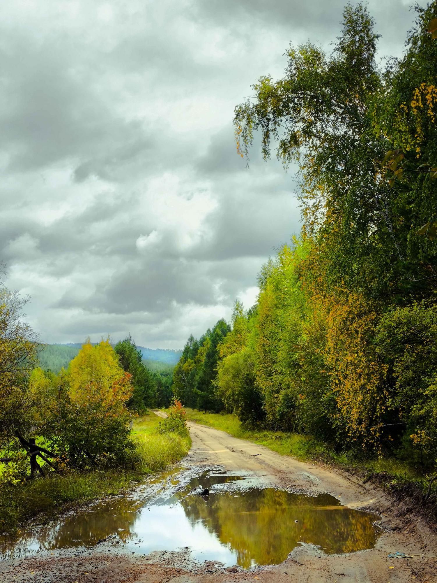 Осенний лес 