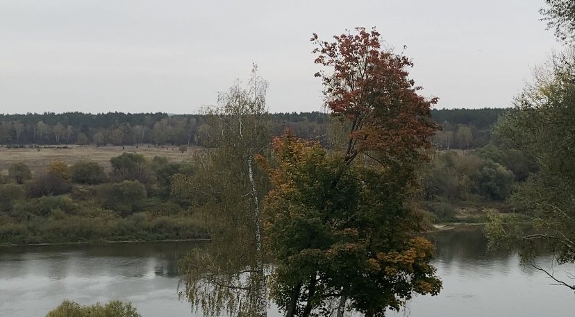 Осень в Тарусе