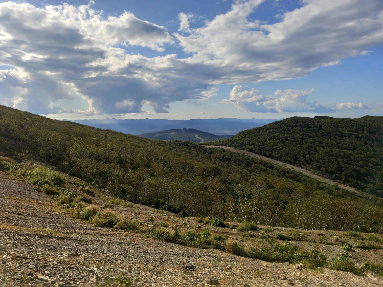 Ранняя осень. Сахалин.