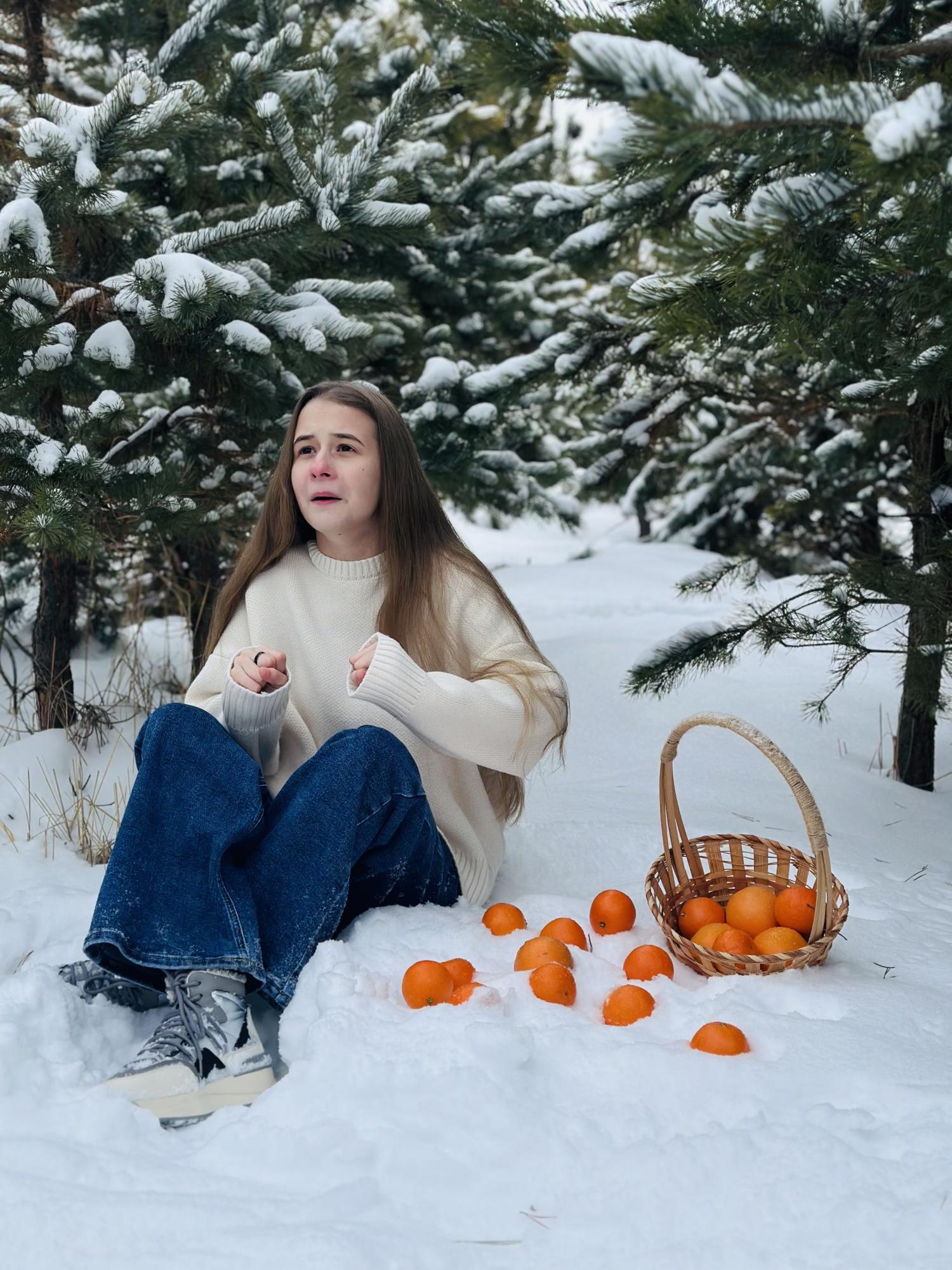 "Замерзшие мечты"