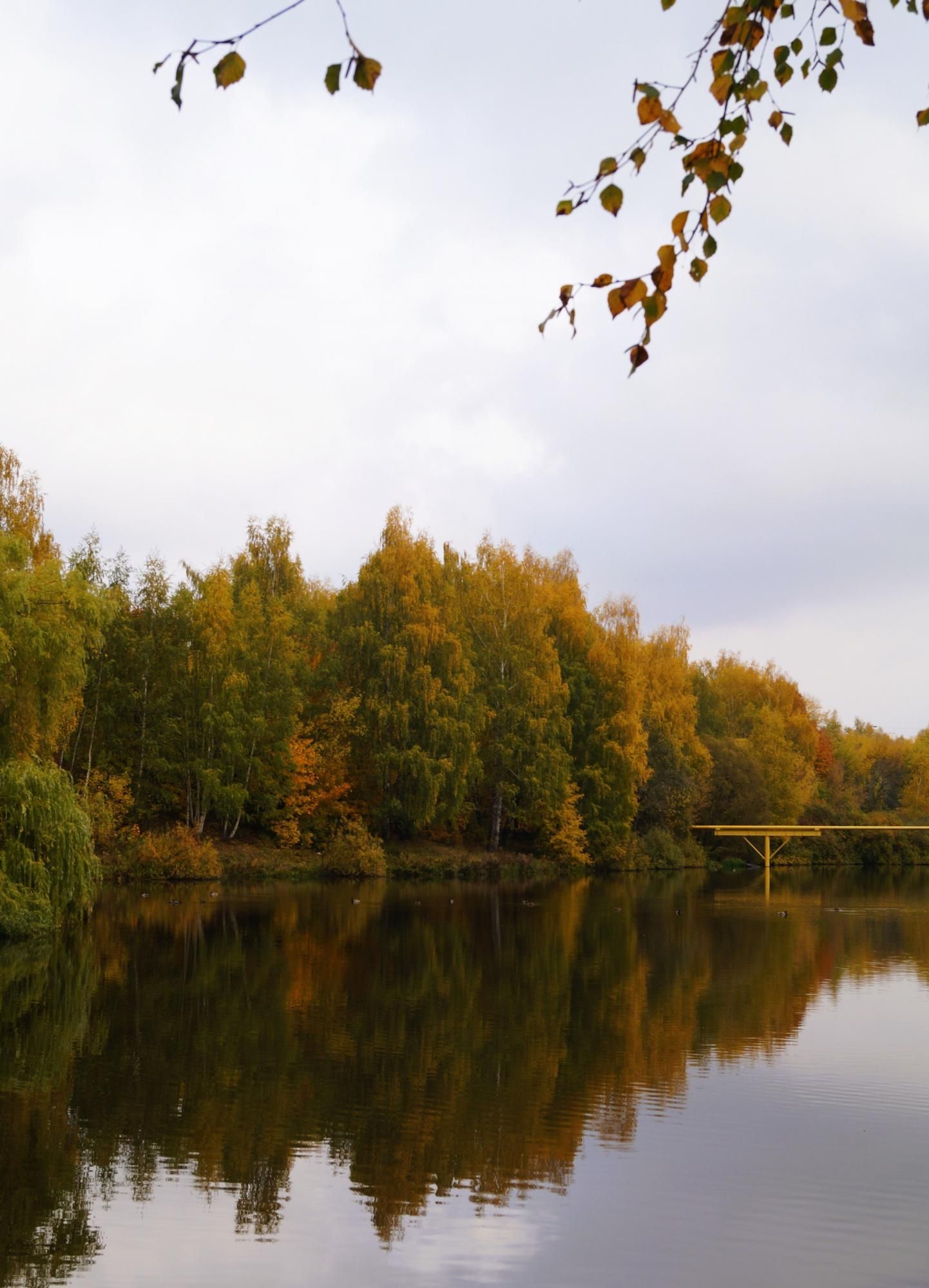 Во владении осени