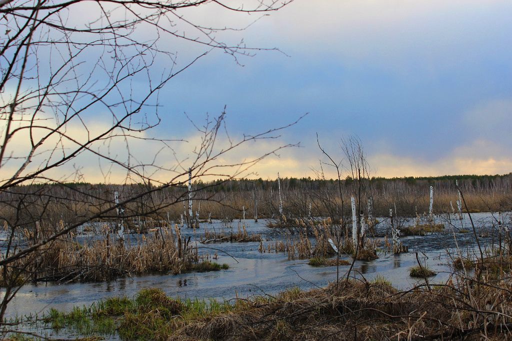 Болото