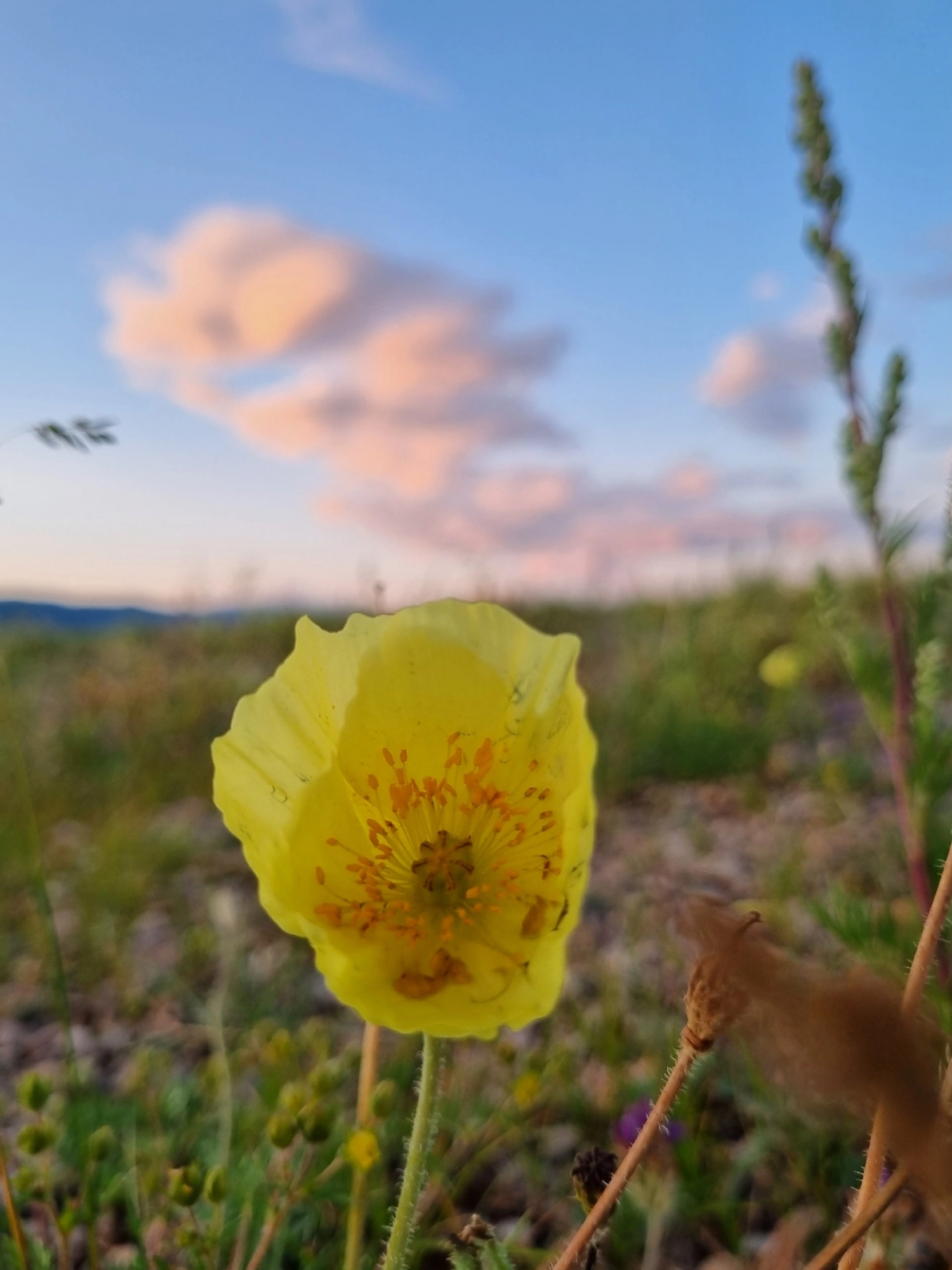 Байкальская природа