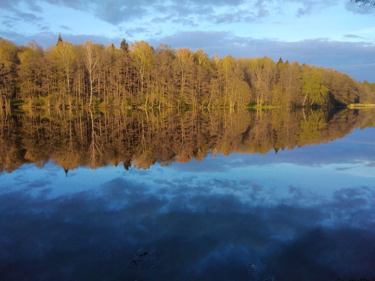 Река Вырка. Осень