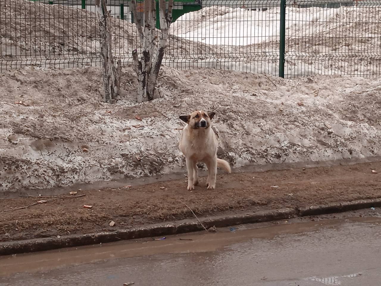 Наелся и счастлив
