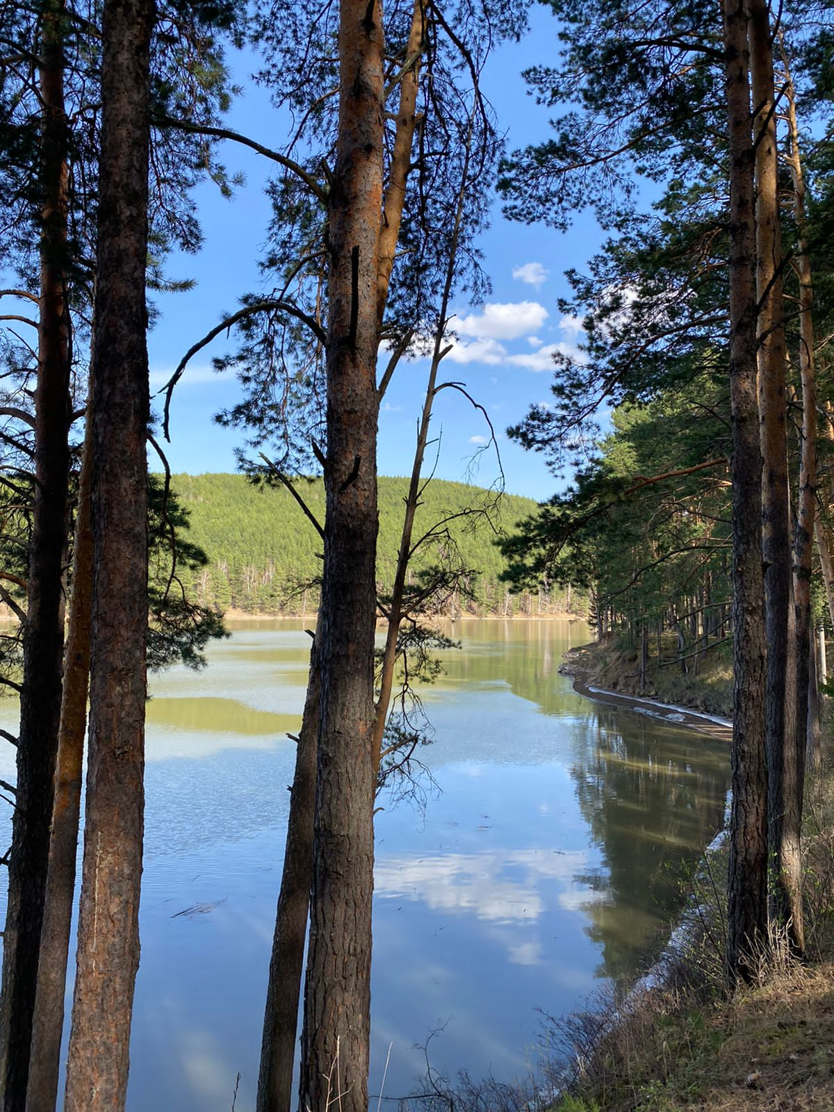 Родина любимая !