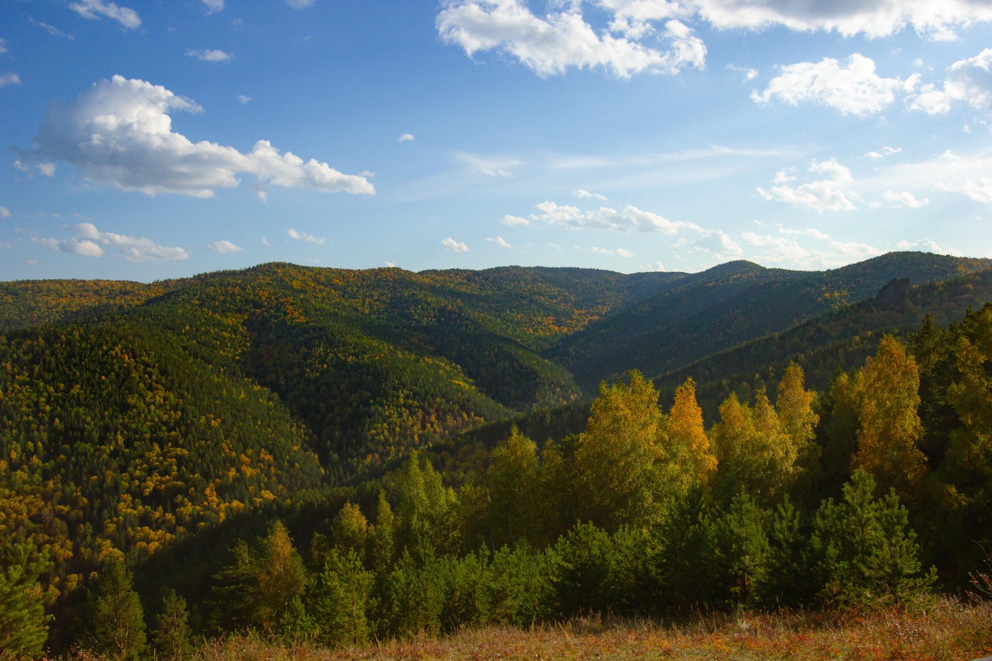 Сибирская осень