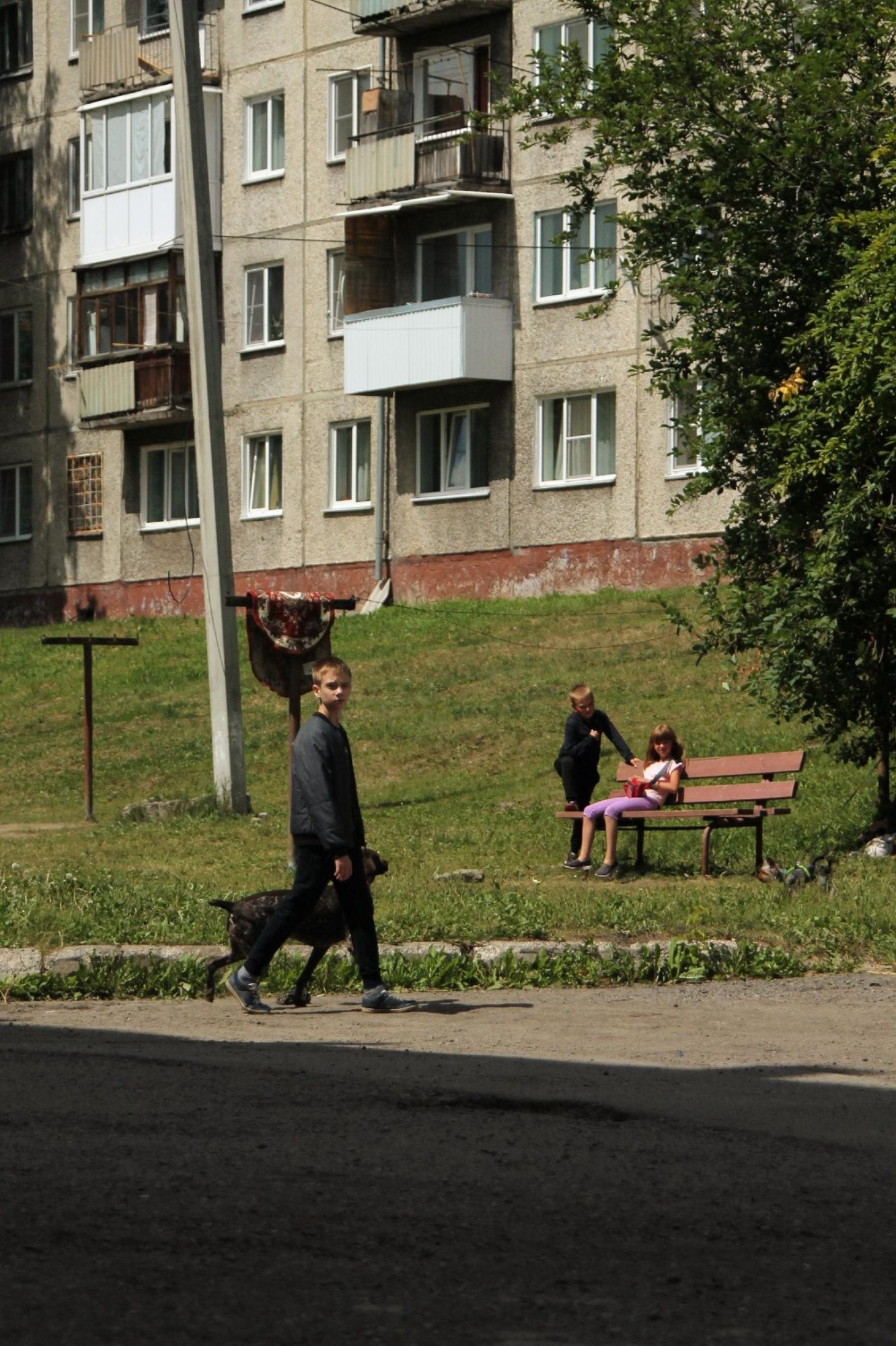 Двор. Детство. Собака