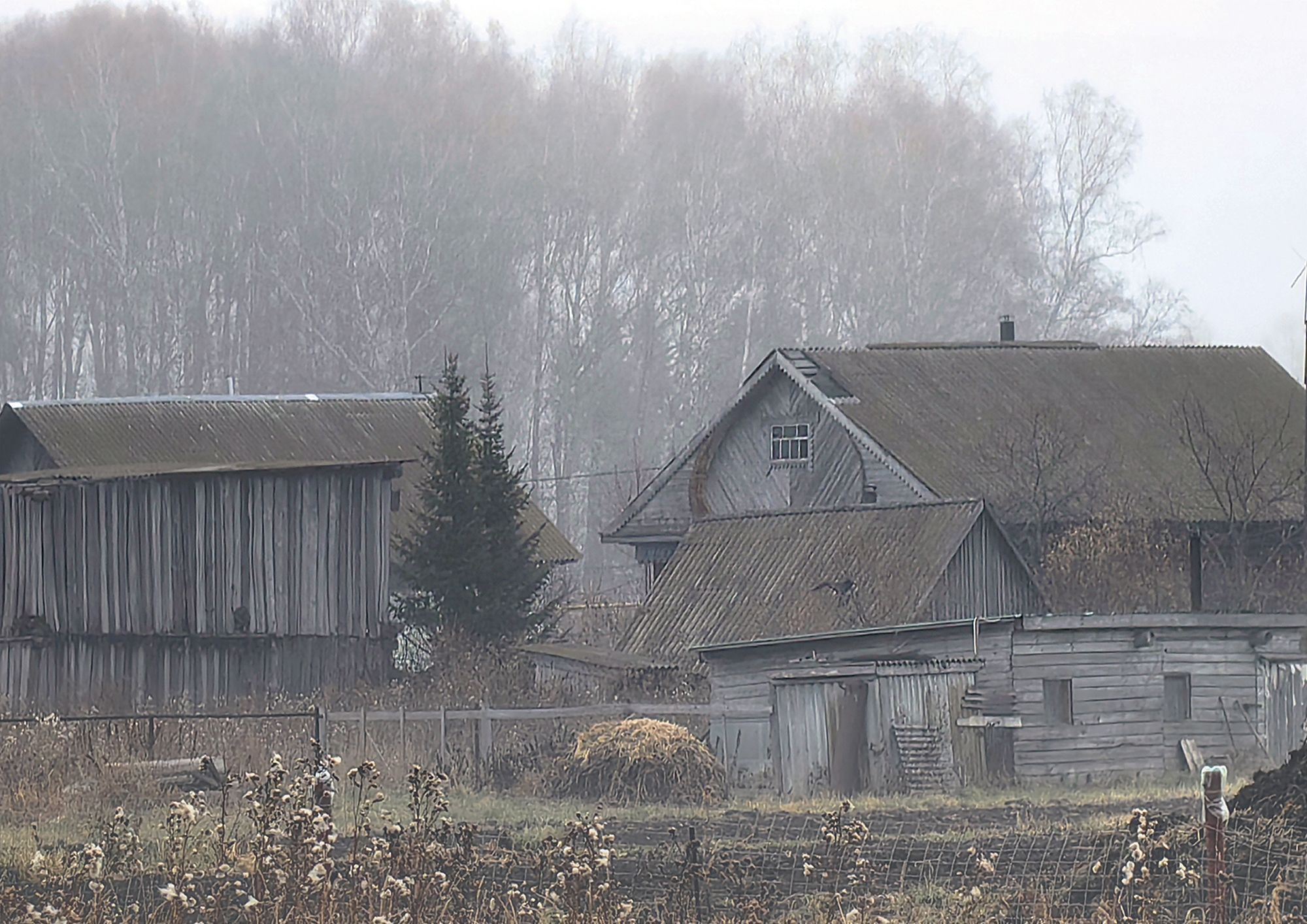 Раннее утро в деревне