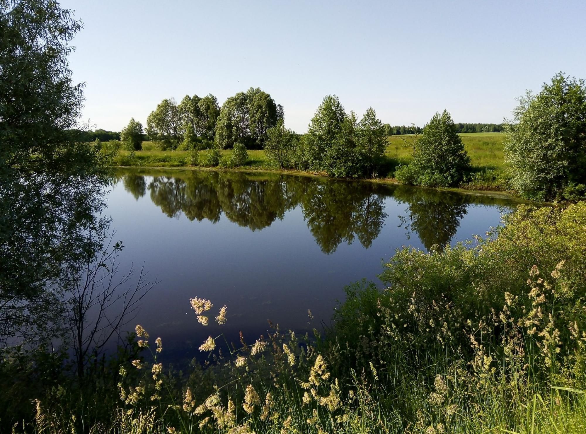 Утренняя красота родной природы