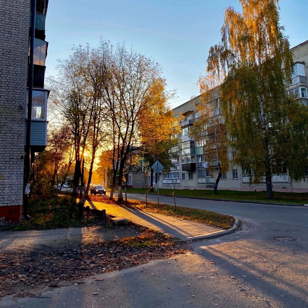 «Осенний свет, продлись. Останься.»