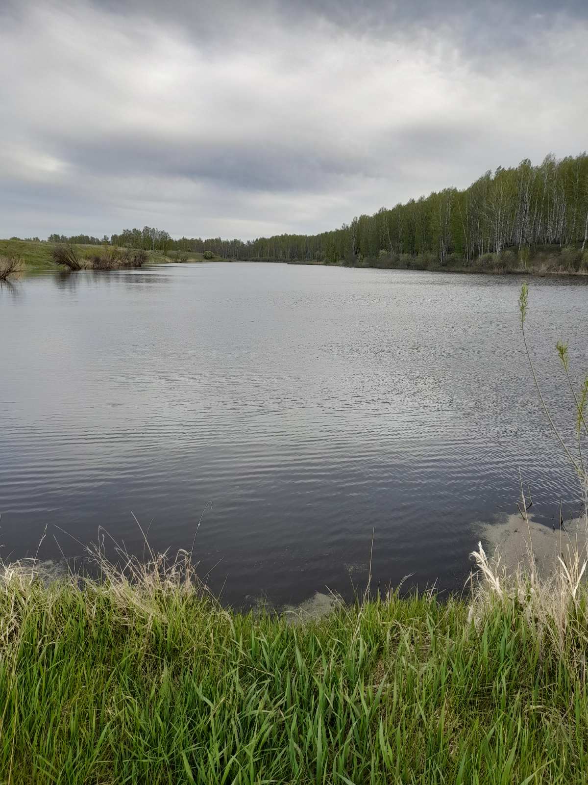 Дорога в осень