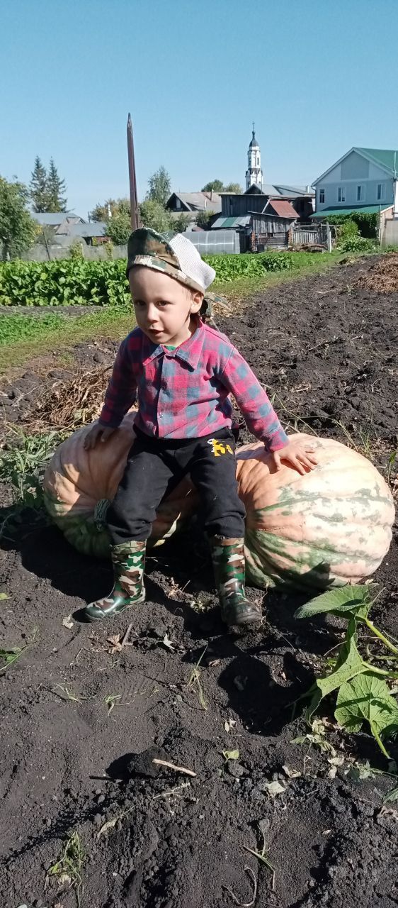 А у вас какой урожай?!
